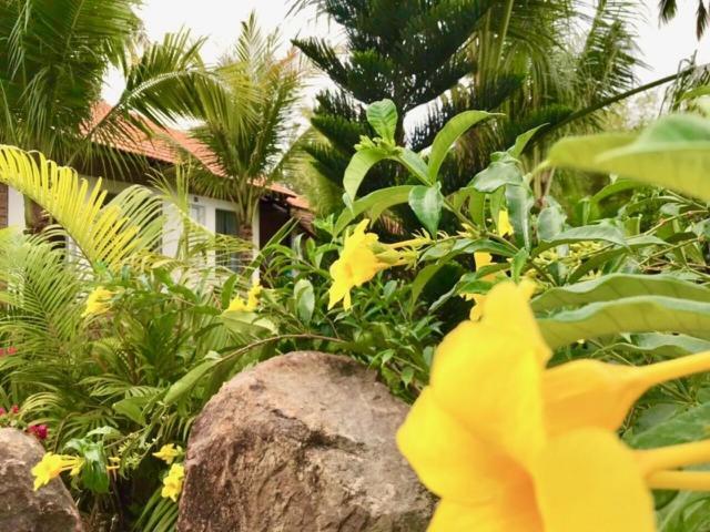 Bamboo Garden Resort Phu Quoc Buitenkant foto